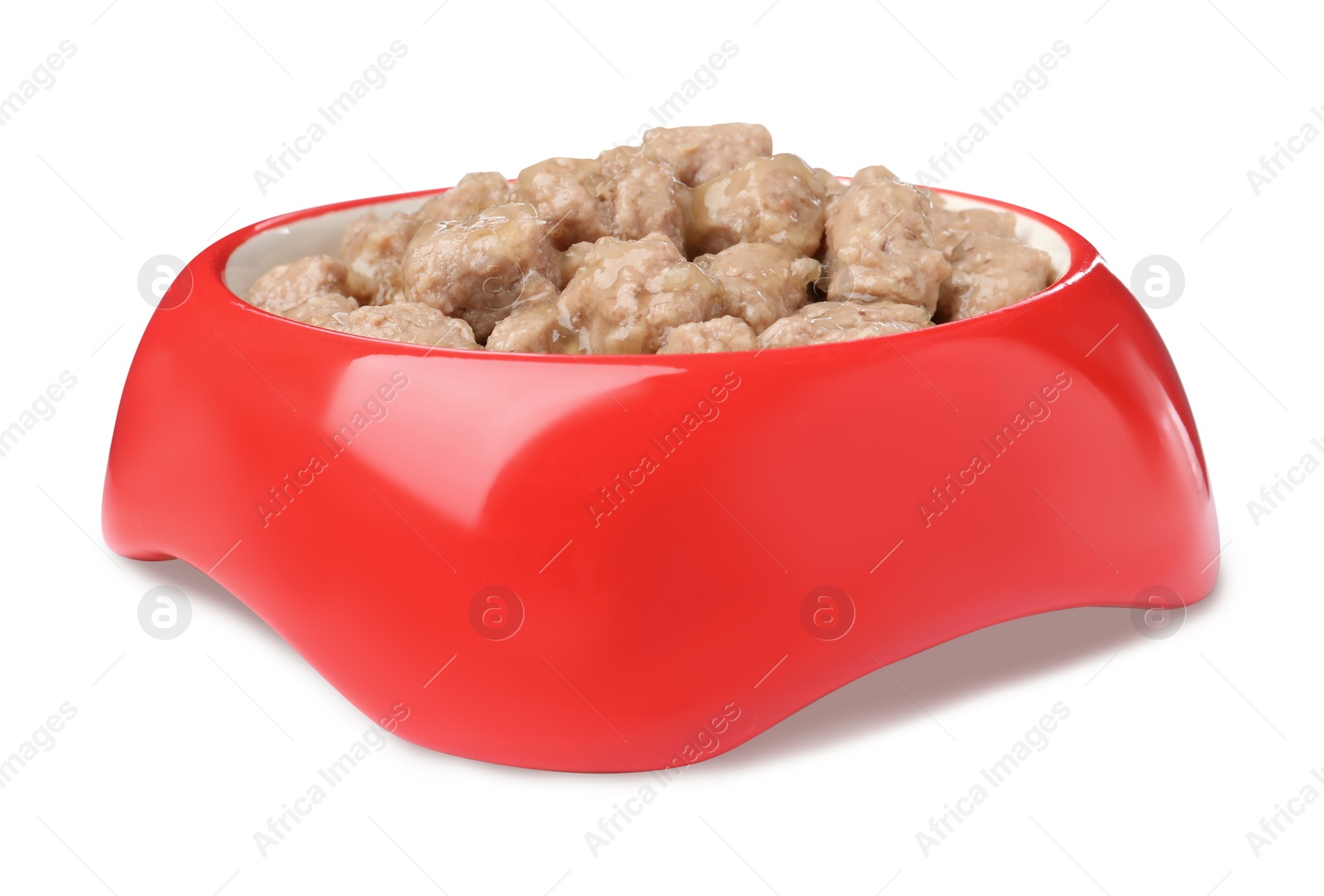 Photo of Wet pet food in feeding bowl isolated on white