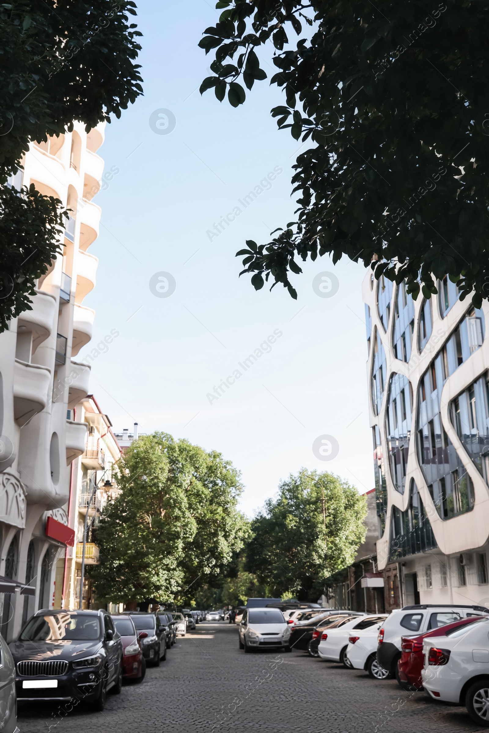 Photo of City street with modern buildings and trees