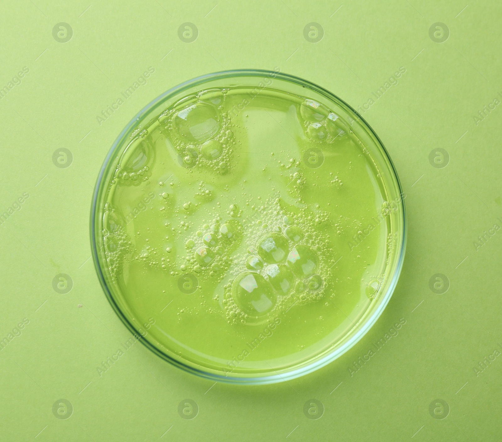 Photo of Petri dish with liquid sample on green background, top view