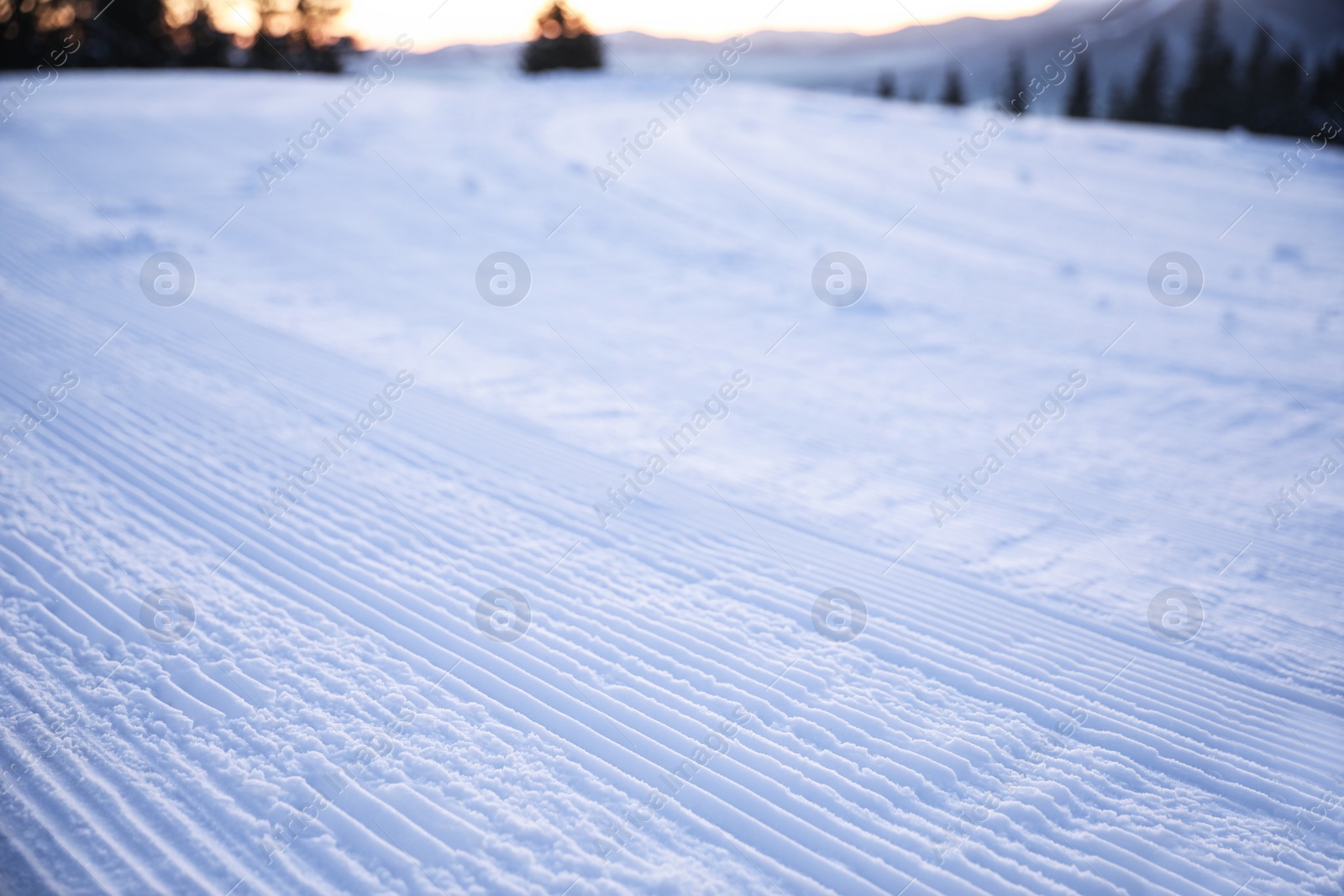 Photo of Empty road covered with snow on winter day