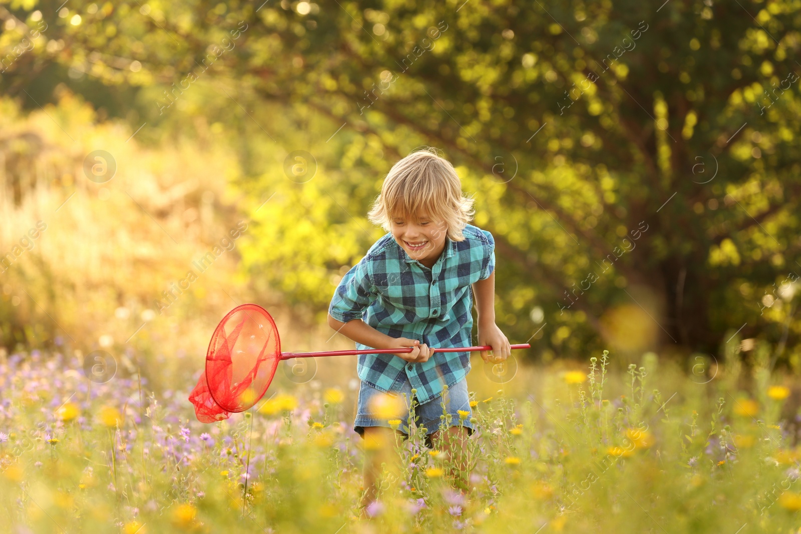 Photo of Cute little boy with butterfly net outdoors. Child spending time in nature