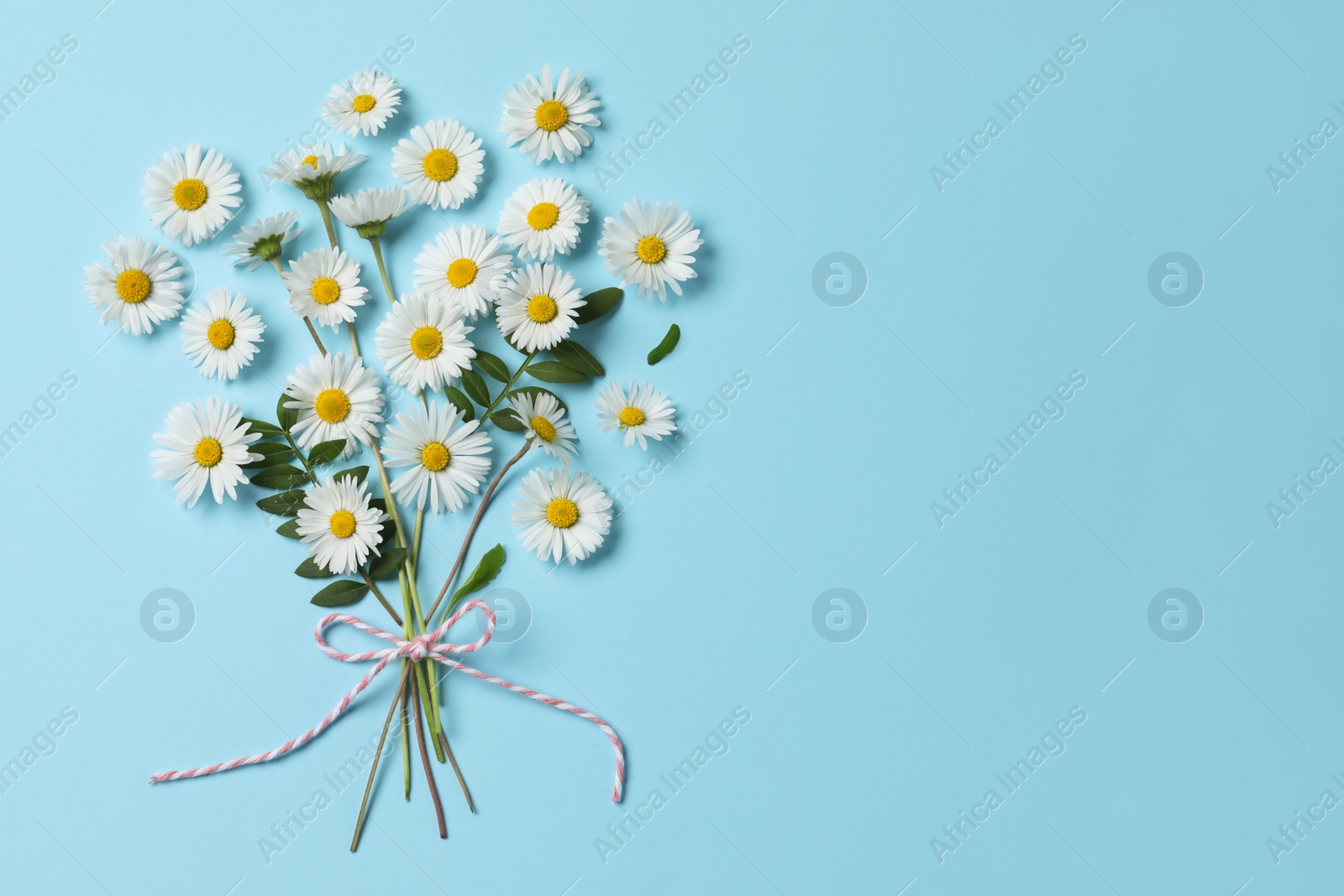 Photo of Flat lay composition with daisy flowers and leaves on light blue background. Space for text