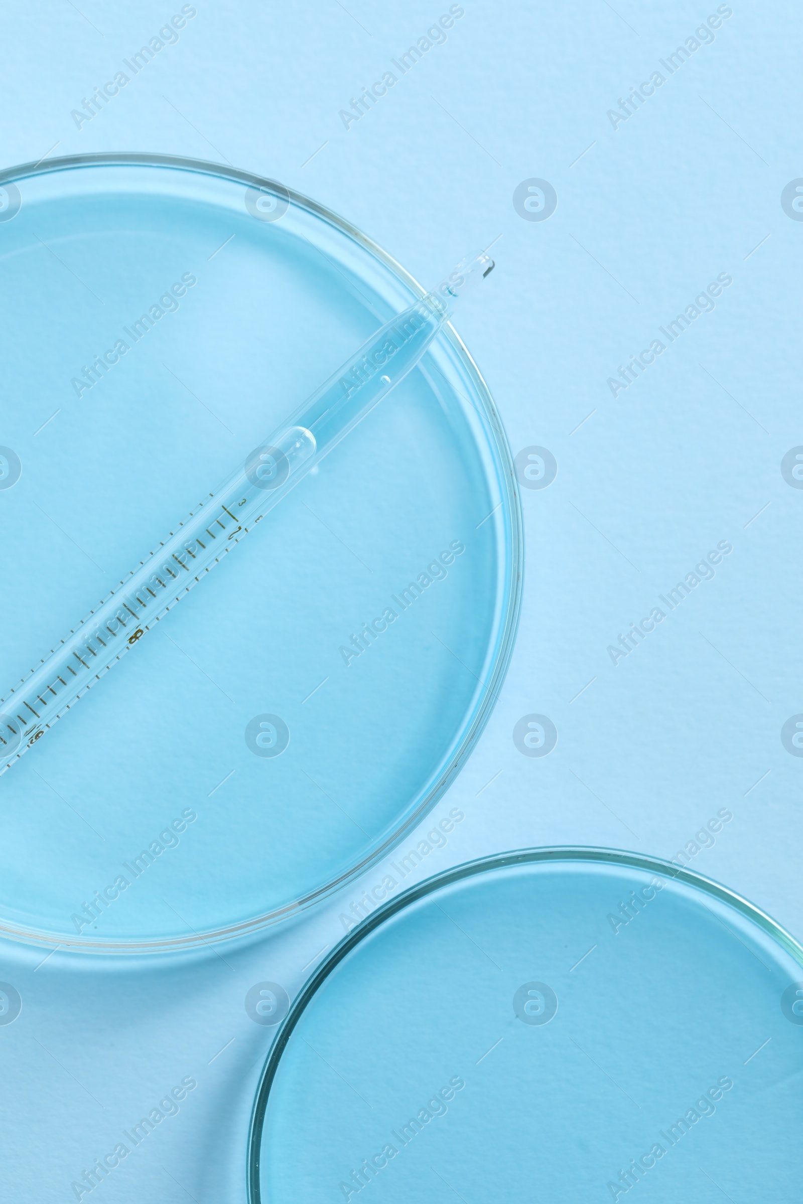 Photo of Transfer pipette and petri dishes on light blue background, flat lay