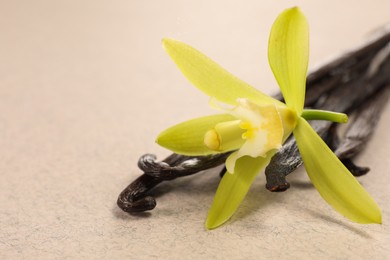 Photo of Vanilla pods and beautiful flower on beige background, closeup. Space for text