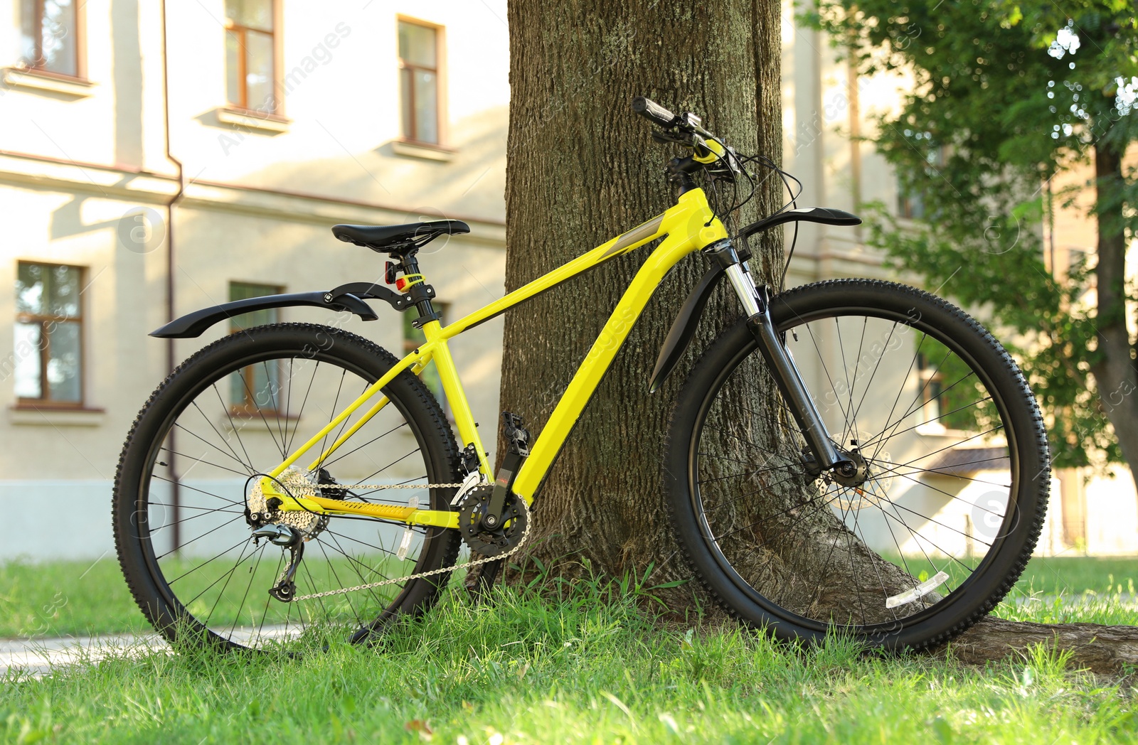 Photo of Yellow bicycle parked near tree on city street