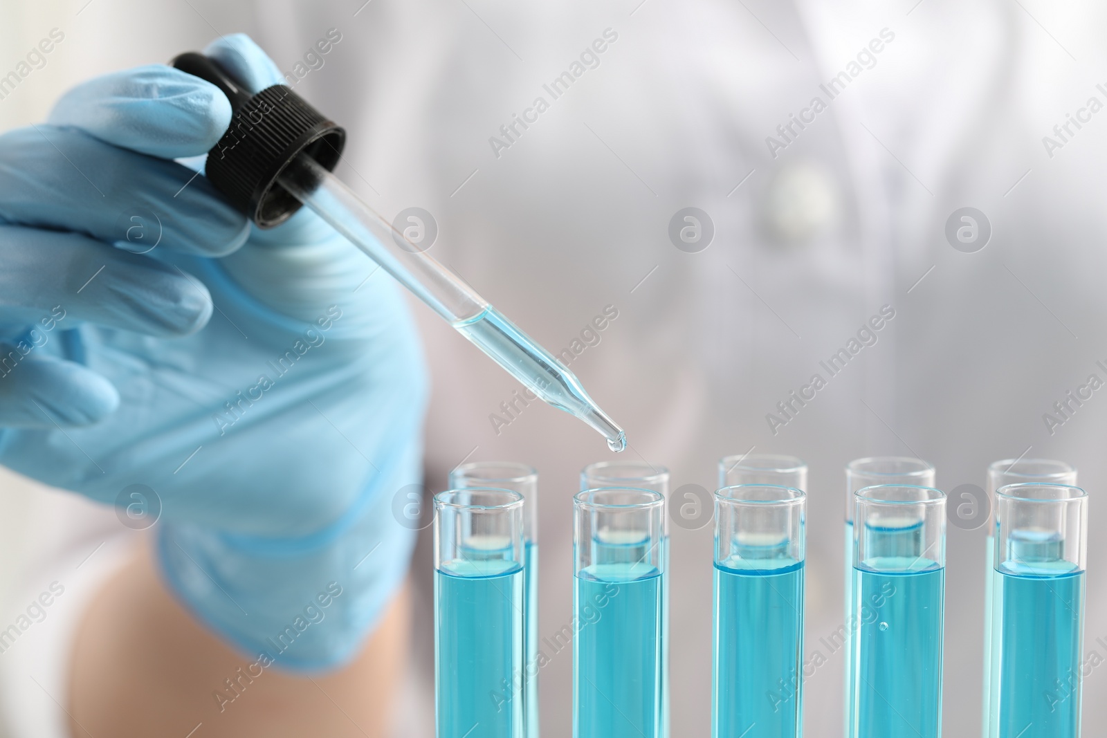 Photo of Scientist dripping liquid from pipette into test tube in laboratory, closeup