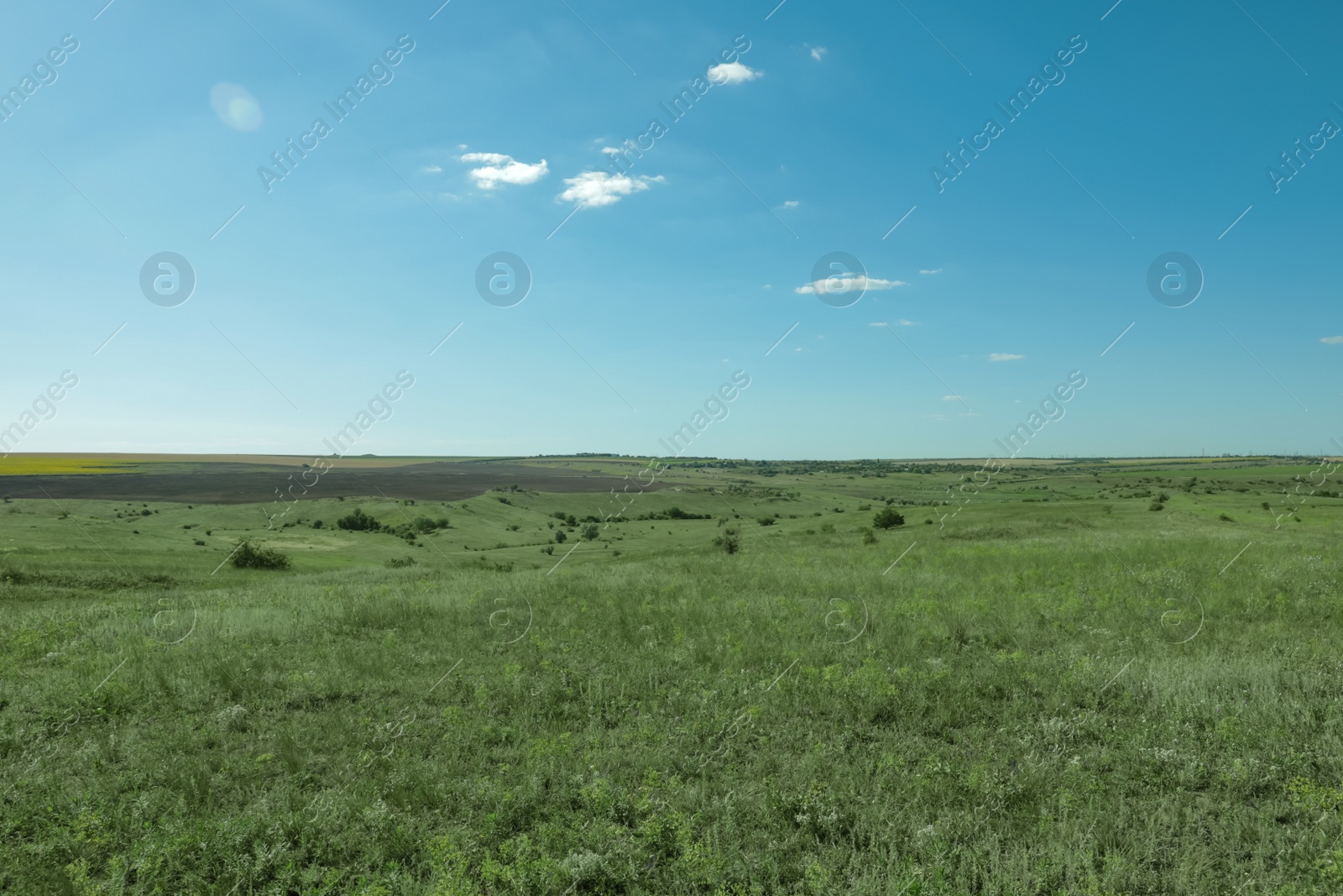 Photo of Beautiful landscape with green grass on sunny day