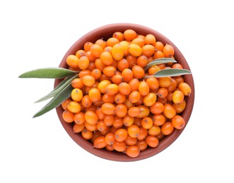 Fresh ripe sea buckthorn berries in wooden bowl isolated on white, top view