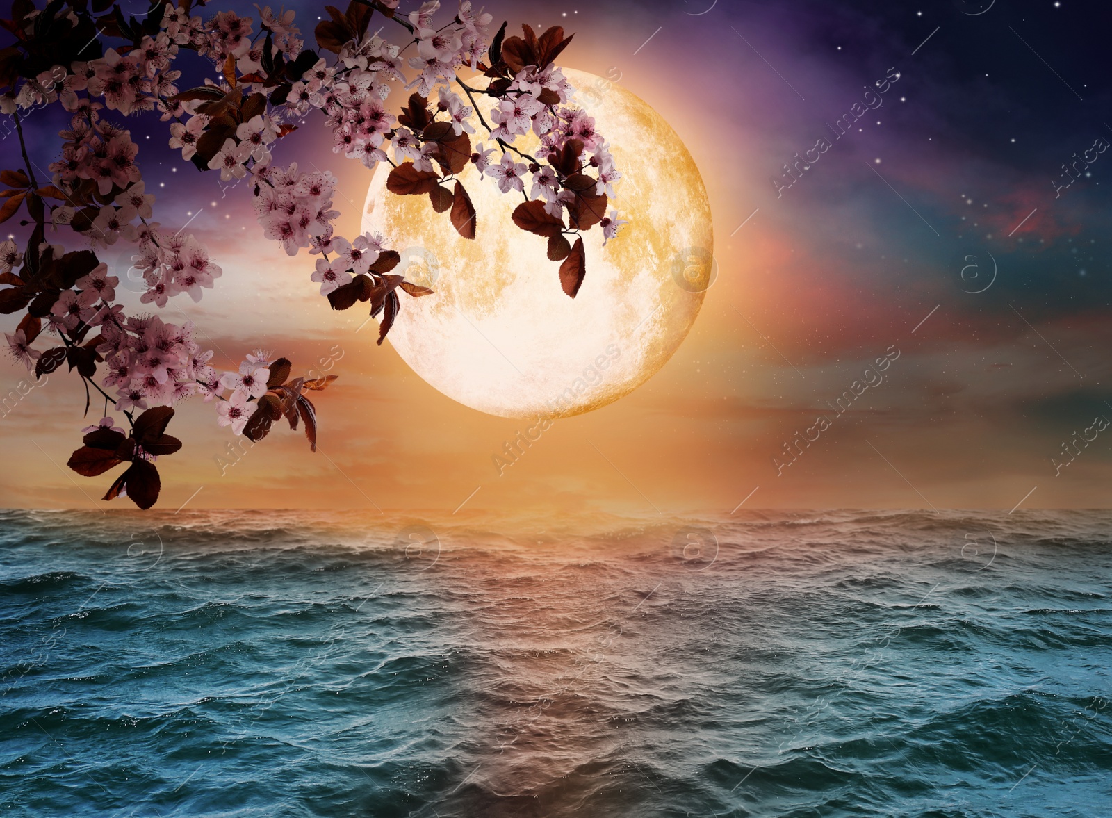 Image of Fantasy world. Blossoming cherry tree branch and full moon in starry sky over ocean