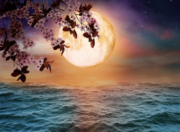 Image of Fantasy world. Blossoming cherry tree branch and full moon in starry sky over ocean