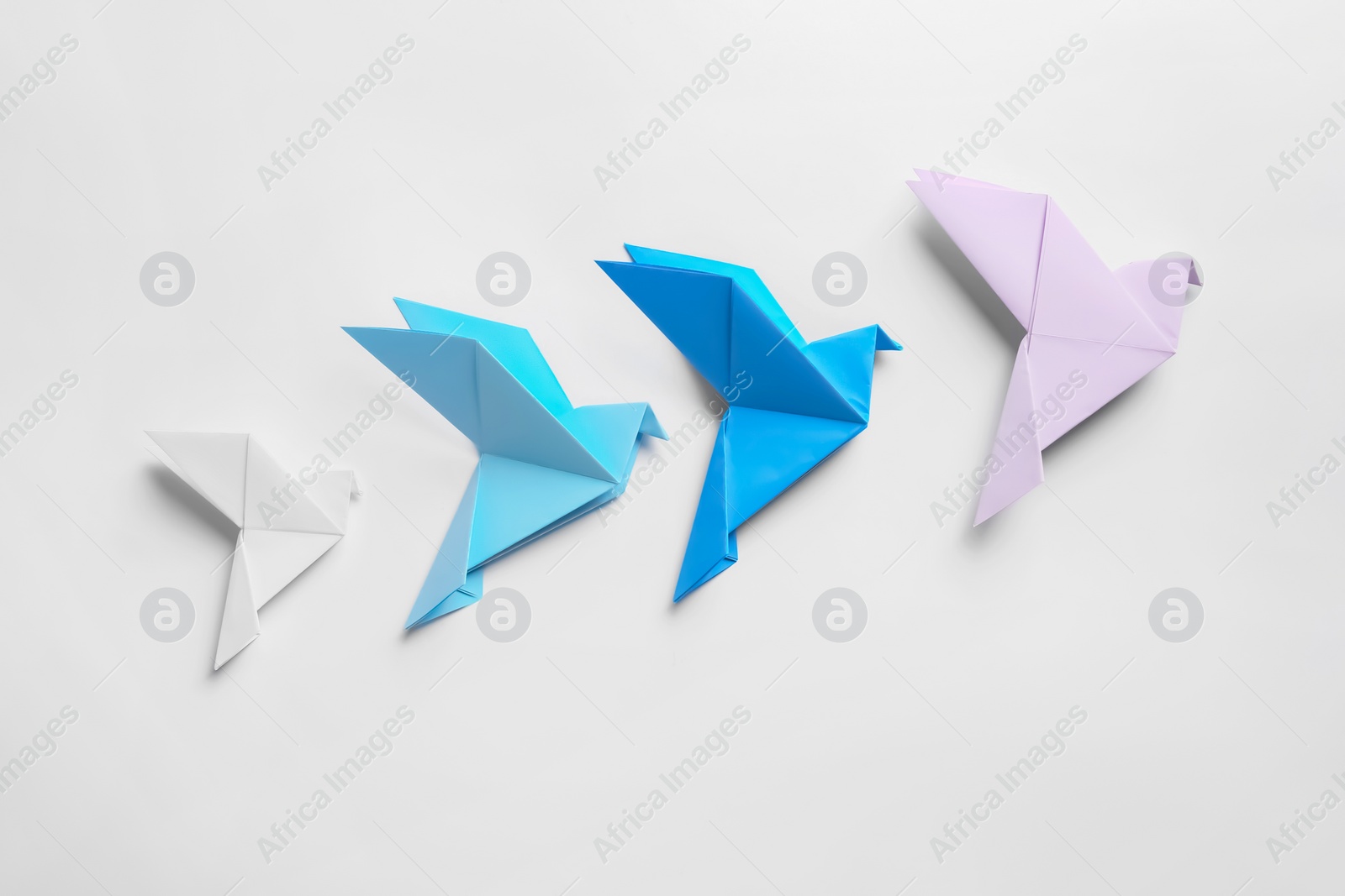 Photo of Beautiful colorful origami birds on white background, flat lay