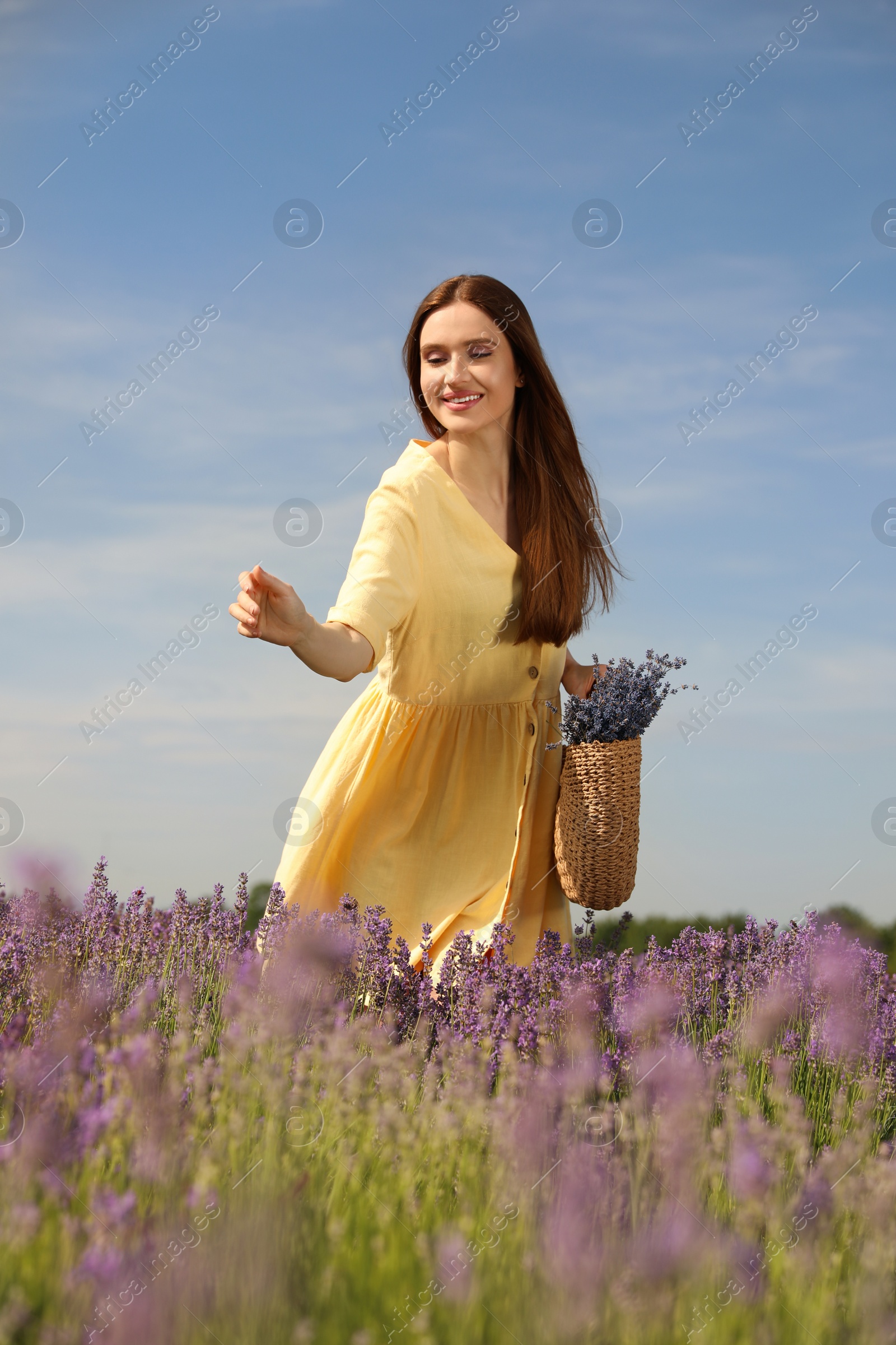 Photo of Young woman with wicker handbag full of lavender flowers in field on summer day