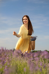Young woman with wicker handbag full of lavender flowers in field on summer day