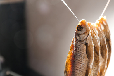 Photo of Dried fish hanging on rope against blurred background, space for text