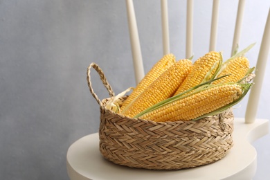 Basket of corn cobs on chair against grey background