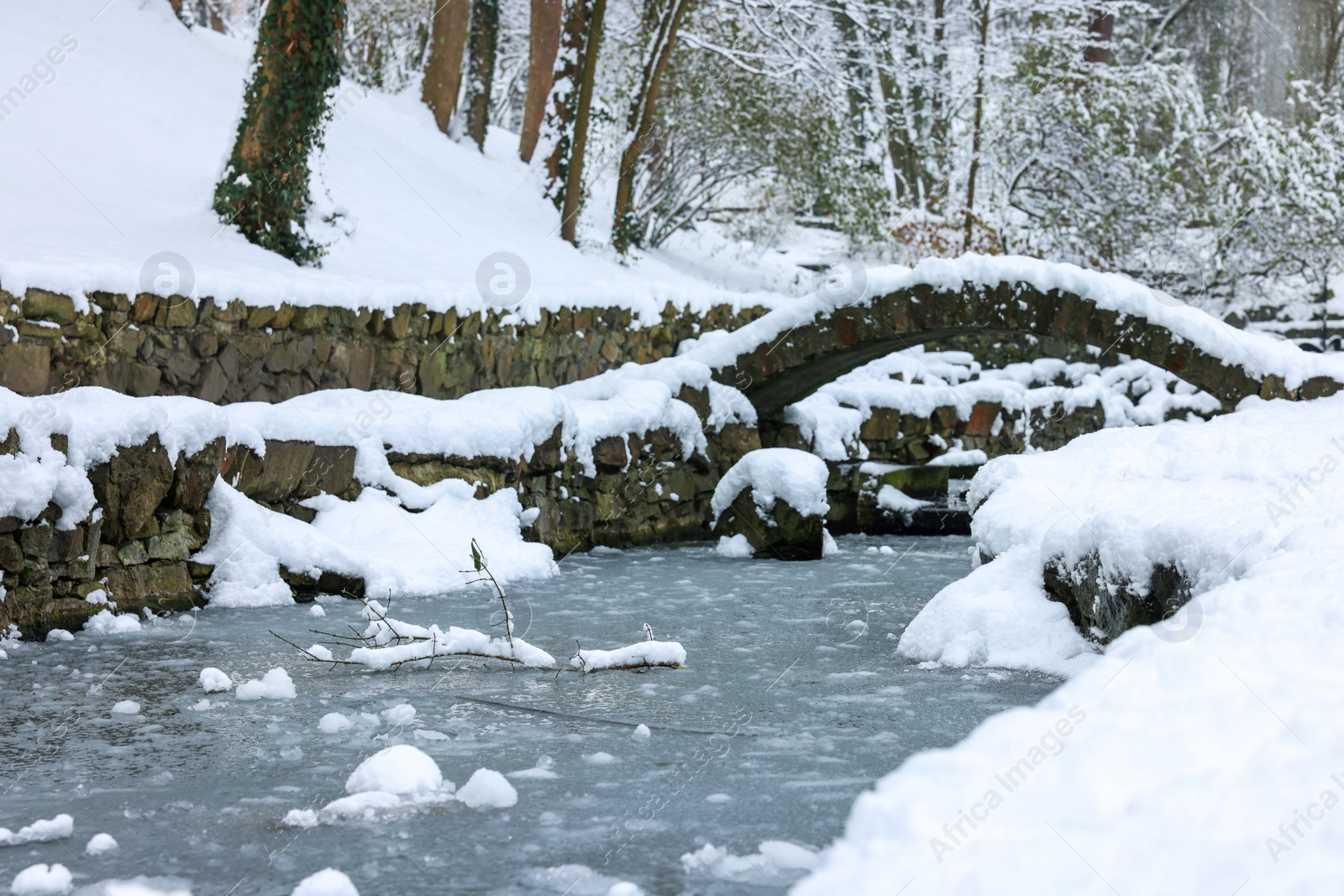 Photo of Trees covered with snow and frozen pond in winter park