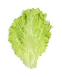 Fresh green lettuce leaf isolated on white, top view