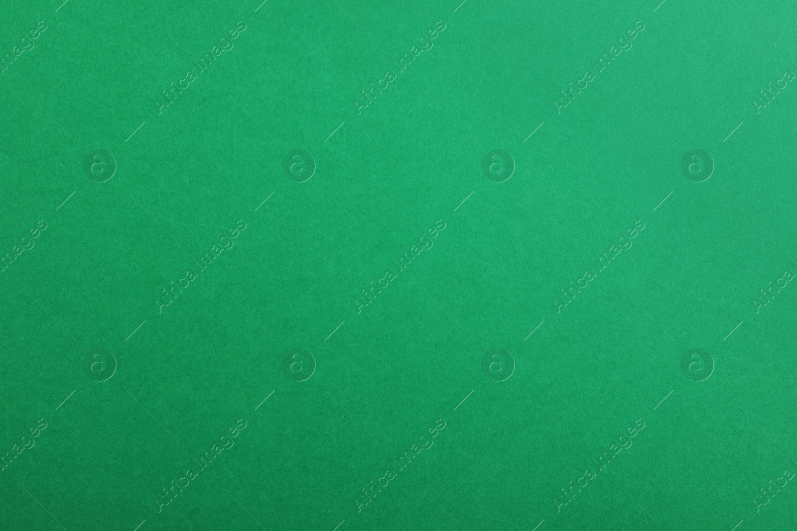 Photo of Abstract green background, top view. Colorful paper