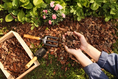 Photo of Woman mulching soil with bark chips in garden, top view