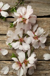 Photo of Beautiful blossoming tree branches and flower petals on wooden table, flat lay. Spring season