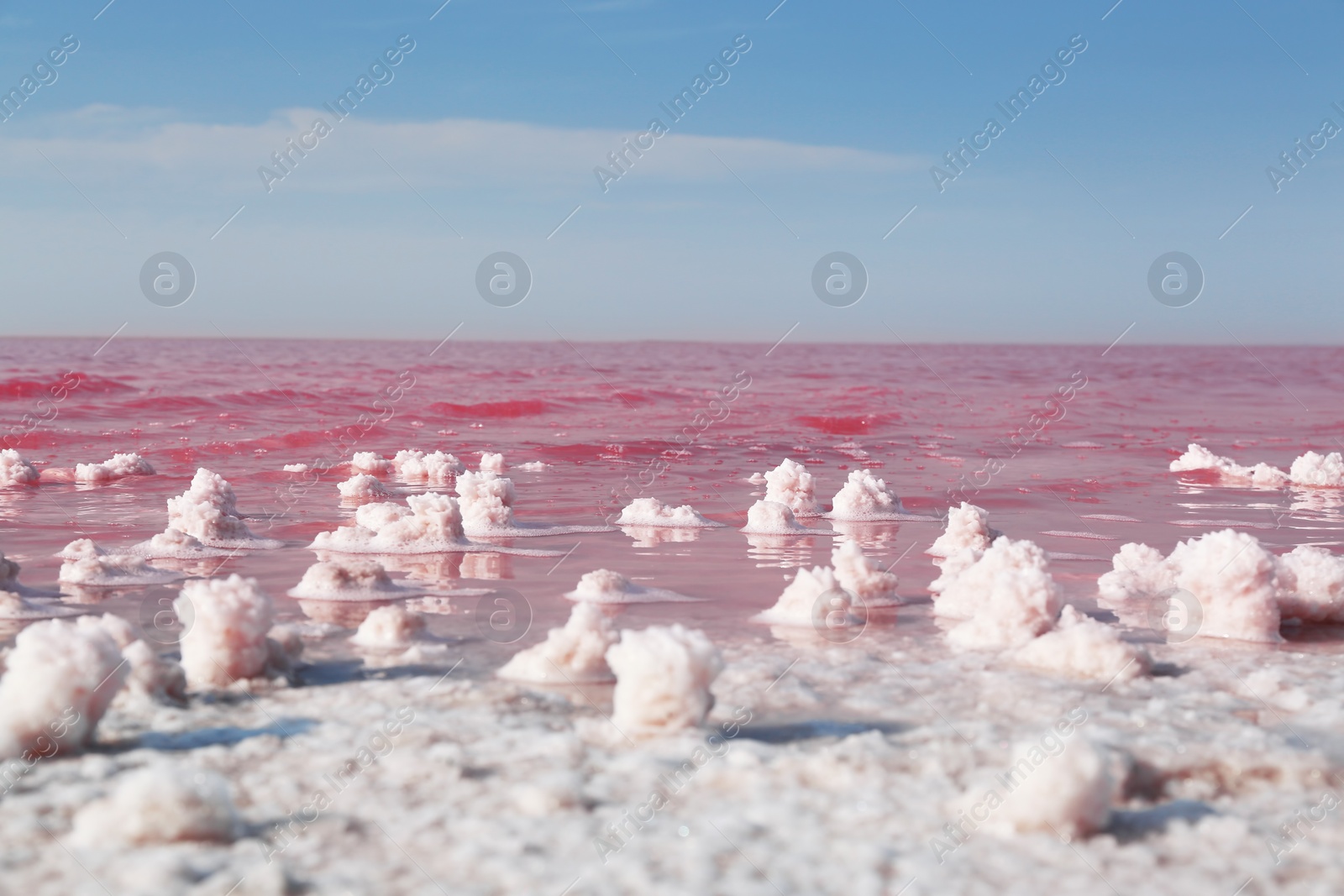 Photo of Beautiful view of pink lake on sunny day