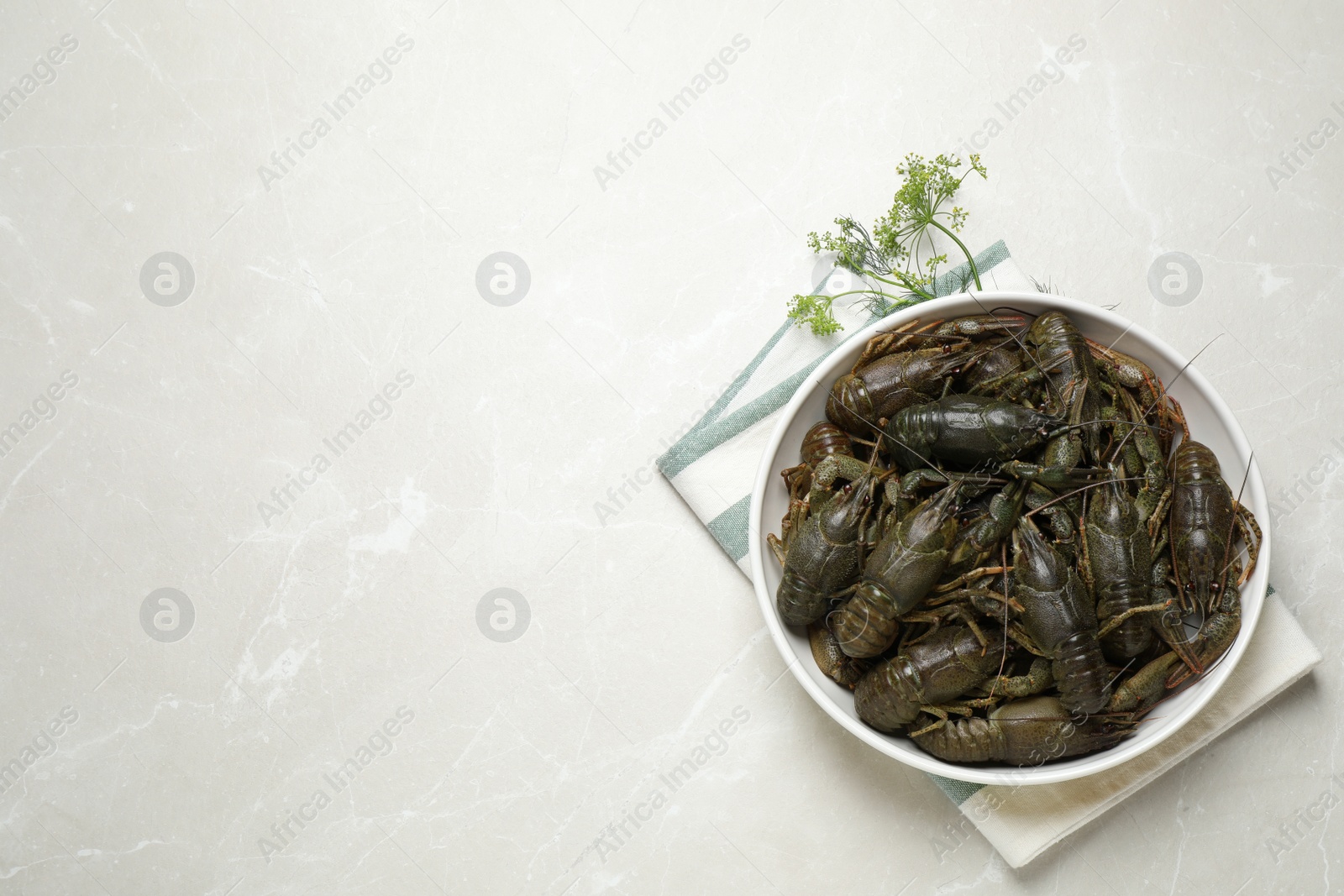Photo of Fresh raw crayfishes and dill on marble table, flat lay. Space for text