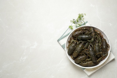 Fresh raw crayfishes and dill on marble table, flat lay. Space for text