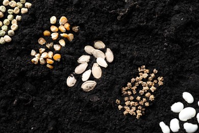 Photo of Different vegetable seeds on fertile soil, flat lay