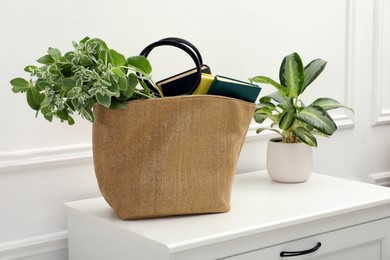 Stylish beach bag with plant and books in room