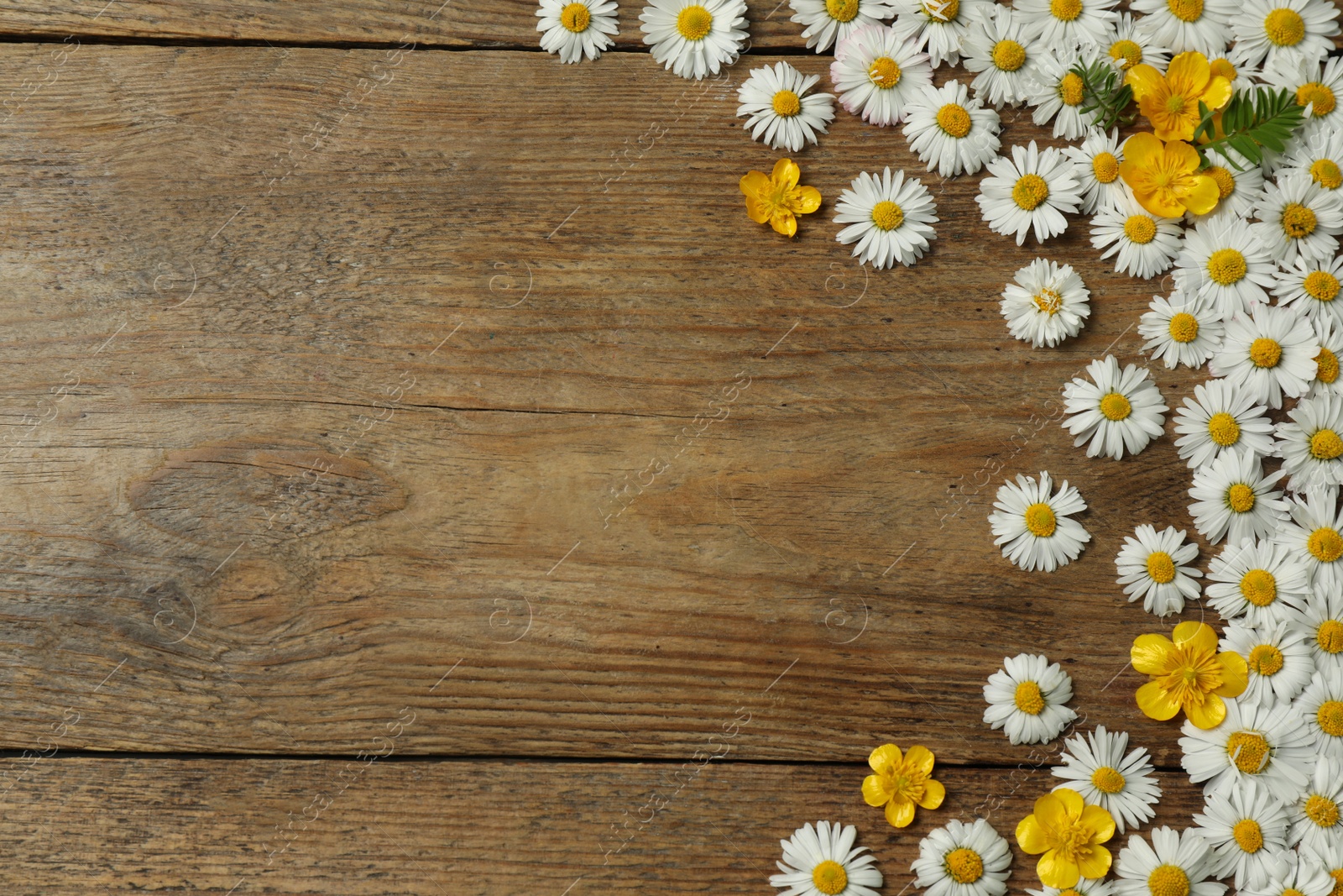 Photo of Beautiful flowers and leaves on wooden table, flat lay. Space for text