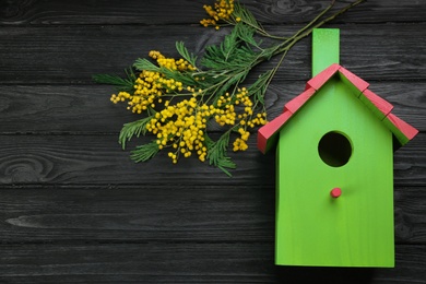 Beautiful bird house and mimosa flowers on black wooden table, flat lay. Space for text