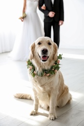 Photo of Adorable golden Retriever wearing wreath made of beautiful flowers on wedding