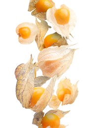 Image of Ripe orange physalis fruits with calyx falling on white background