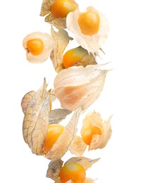 Ripe orange physalis fruits with calyx falling on white background