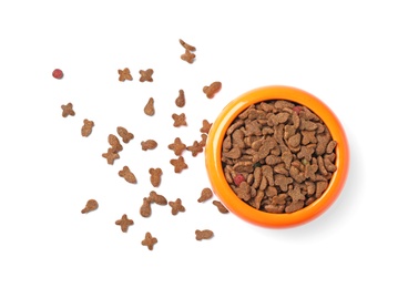 Photo of Bowl with food for cat or dog on white background. Pet care