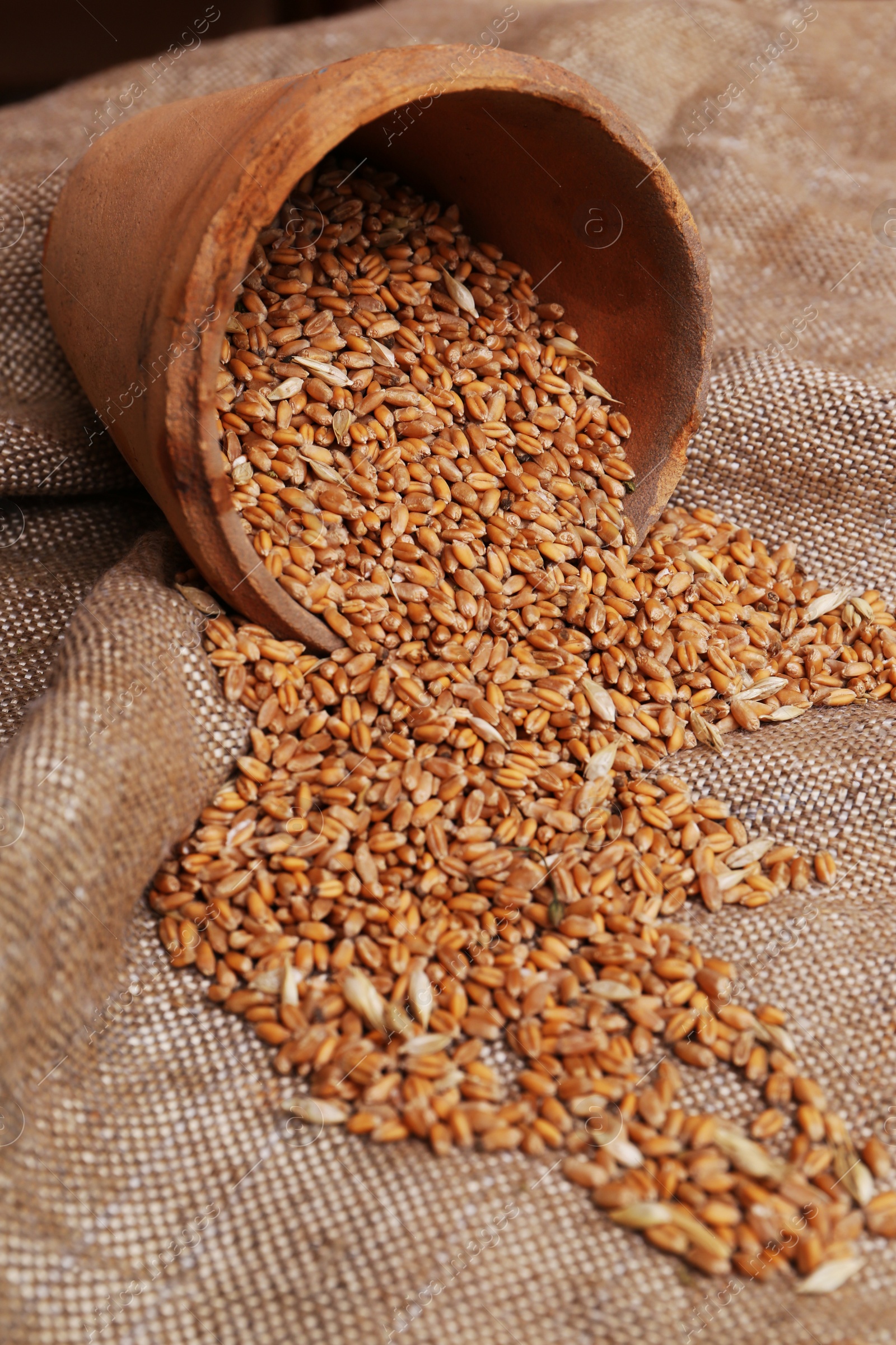 Photo of Overturned pot with scattered wheat grains on sack cloth, closeup