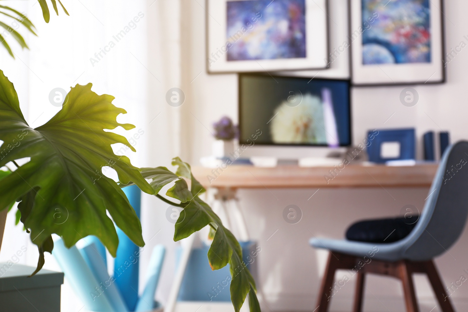 Photo of Exotic plant with green leaves and blurred workplace interior on background