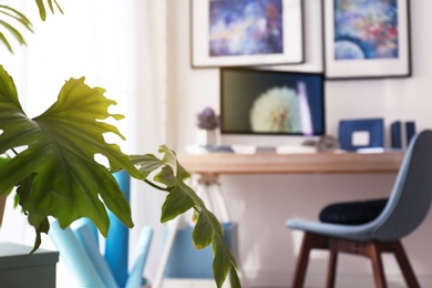 Exotic plant with green leaves and blurred workplace interior on background