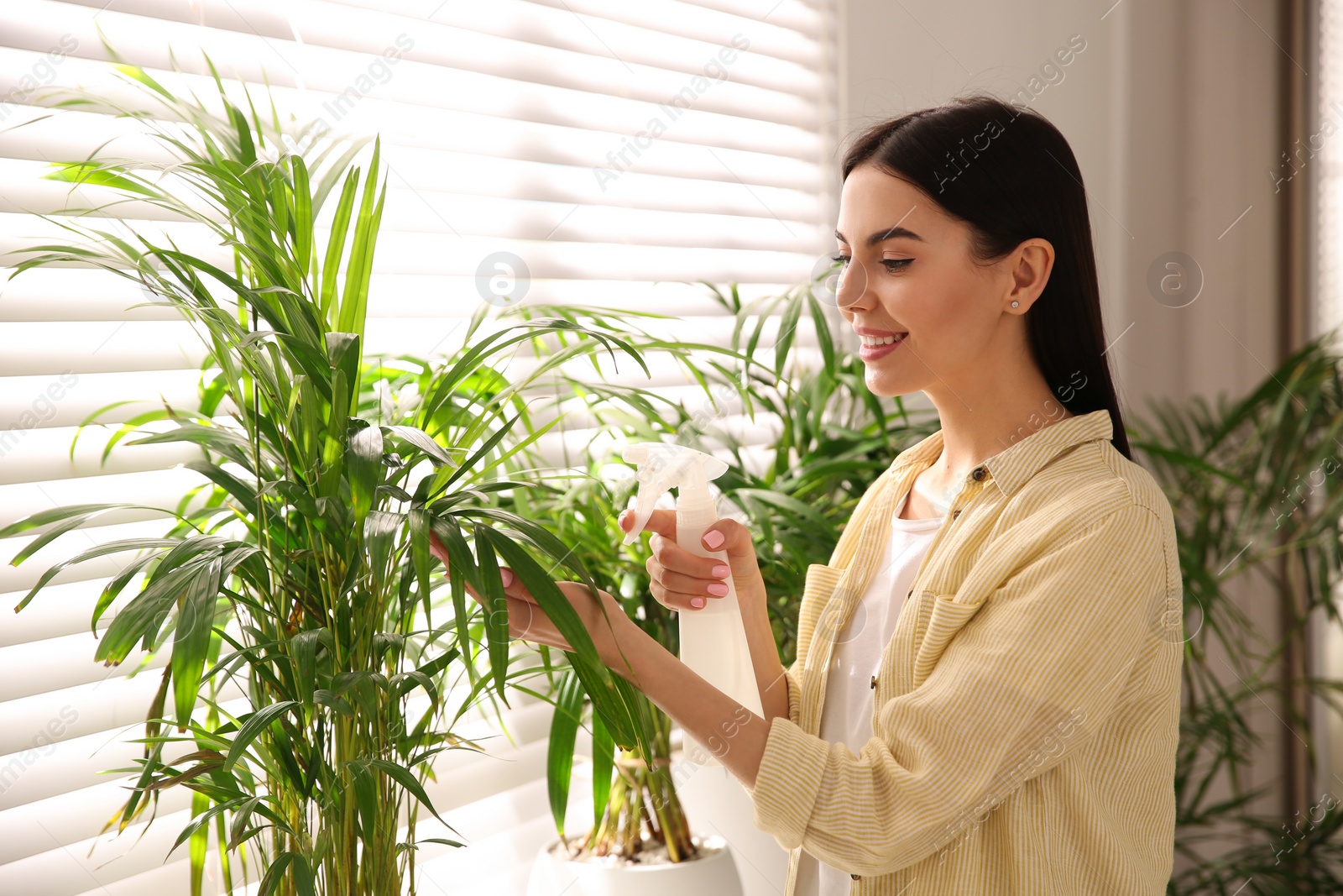 Photo of Woman spraying leaves of house plants indoors