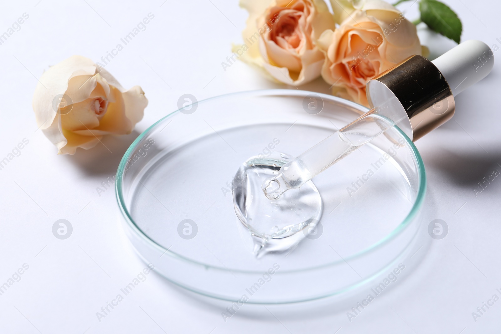Photo of Petri dish with sample of cosmetic serum, pipette and rose flowers on white background, closeup