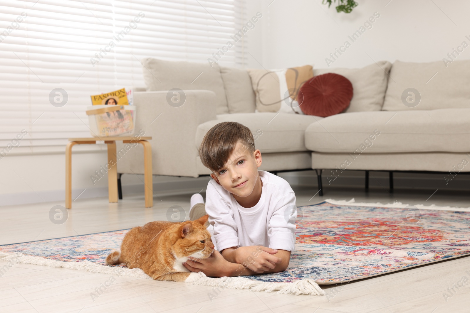 Photo of Little boy petting cute ginger cat on carpet at home