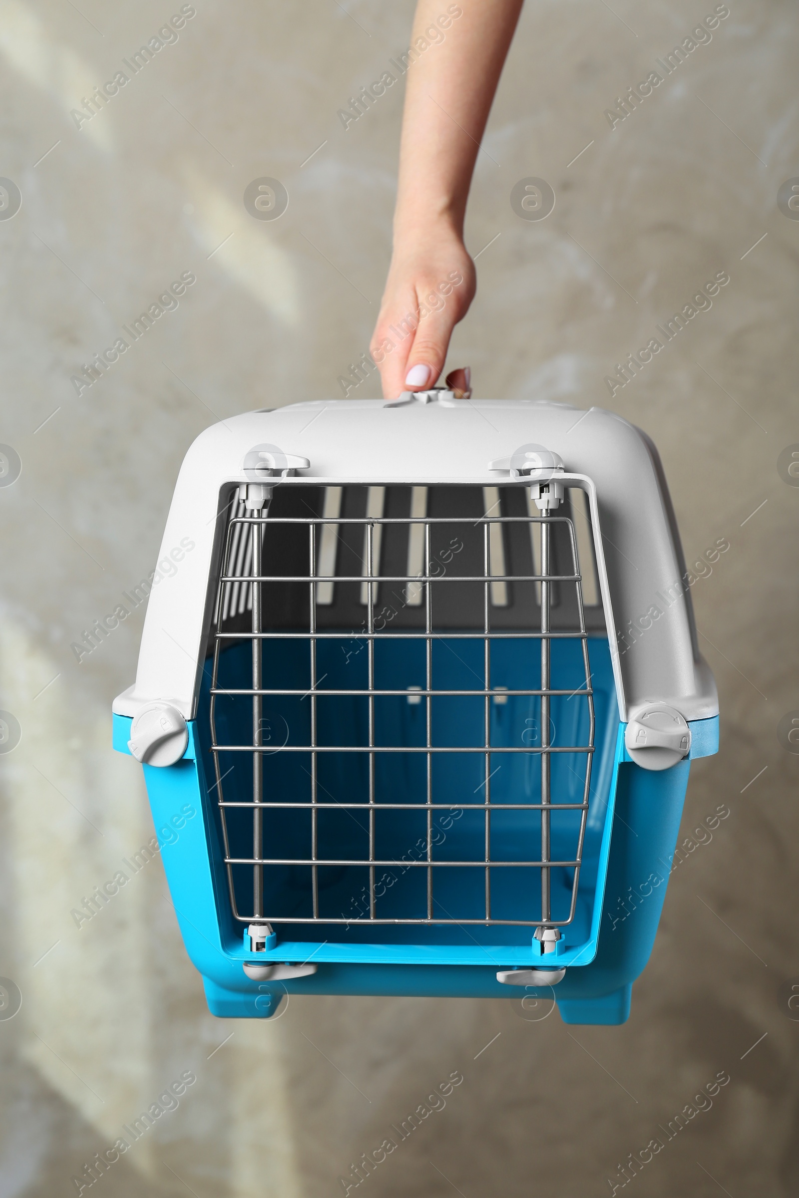 Photo of Woman holding light blue pet carrier against grey wall, closeup