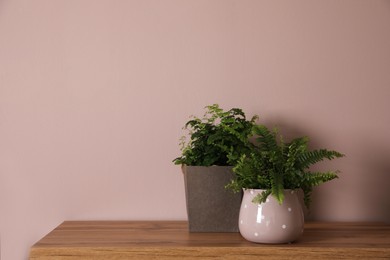 Photo of Beautiful fresh potted ferns on wooden table. Space for text