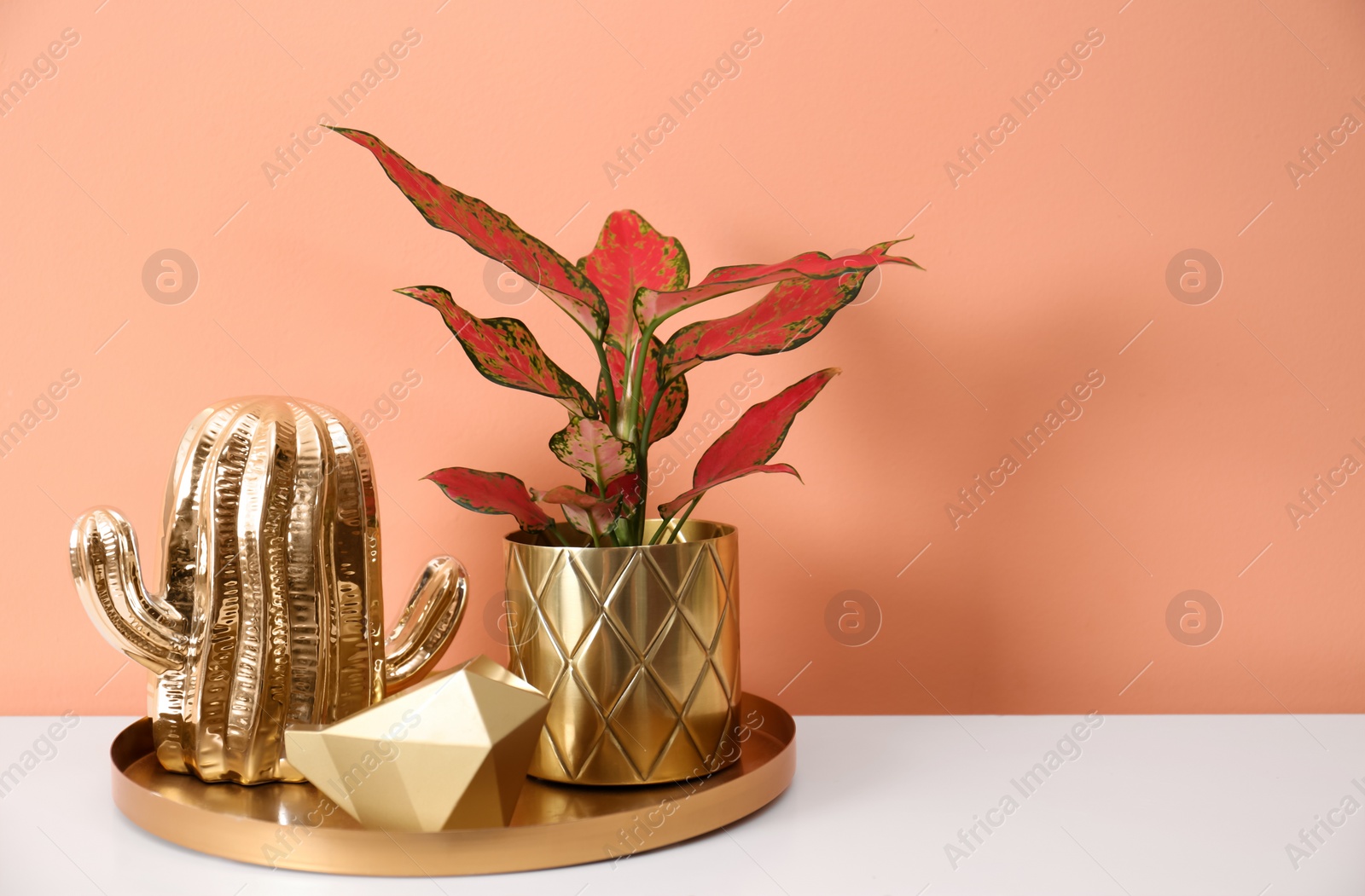 Photo of Beautiful houseplant on white table near orange coral  wall. Space for text