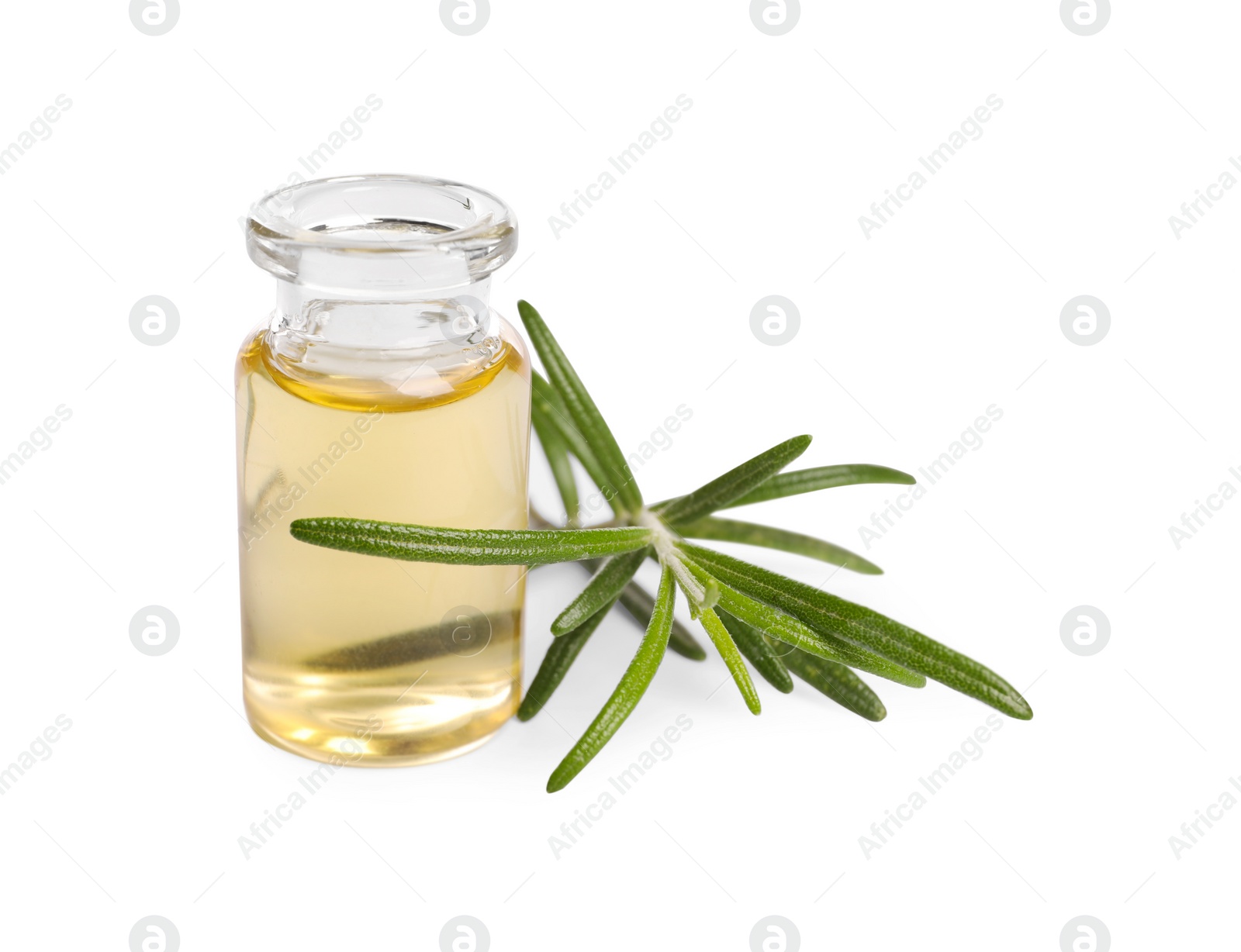 Photo of Sprig of fresh rosemary and essential oil on white background