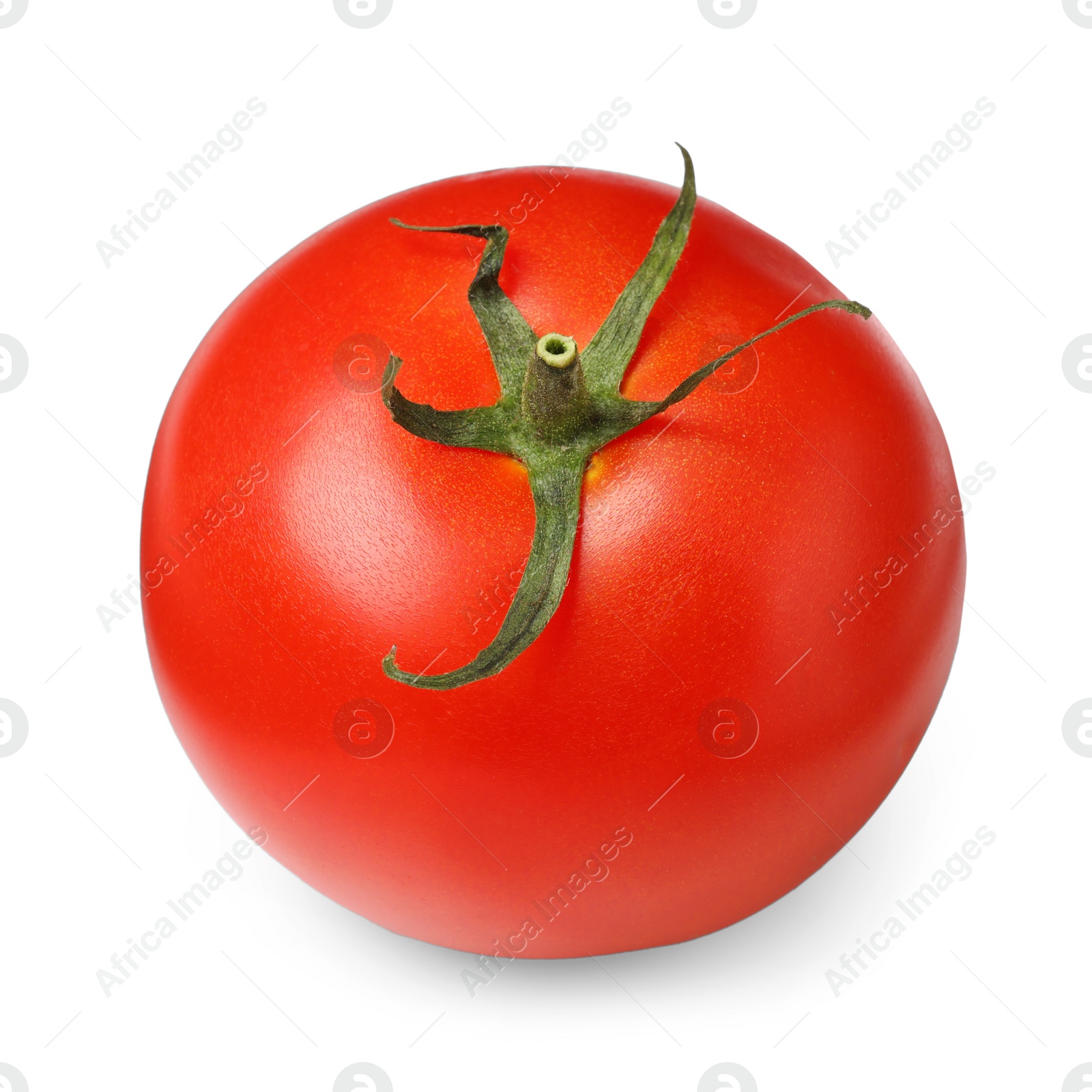 Photo of One fresh ripe tomato isolated on white