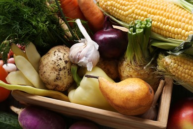Photo of Different fresh vegetables in wooden crate as background, closeup. Farmer harvesting