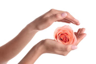 Woman holding rose on white background, closeup. Spa treatment