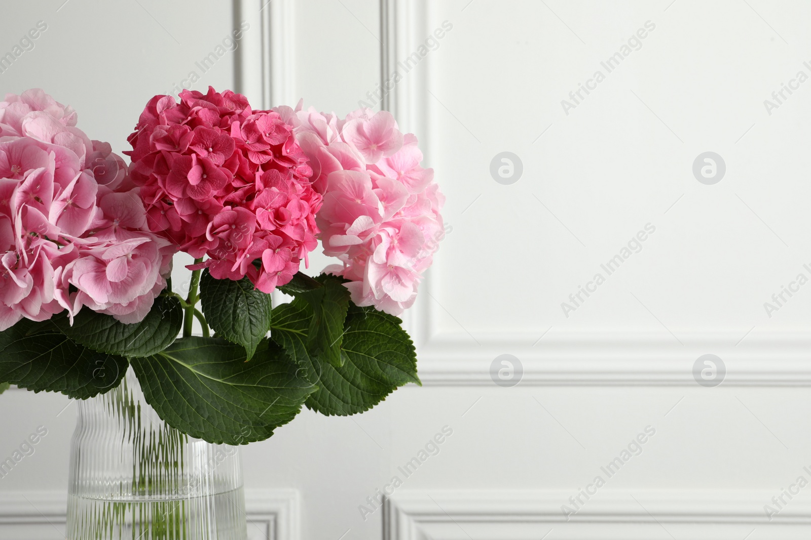 Photo of Vase with beautiful hortensia flowers near white wall. Space for text
