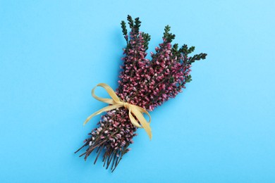 Bunch of heather branches with beautiful flowers and ribbon on light blue background, top view